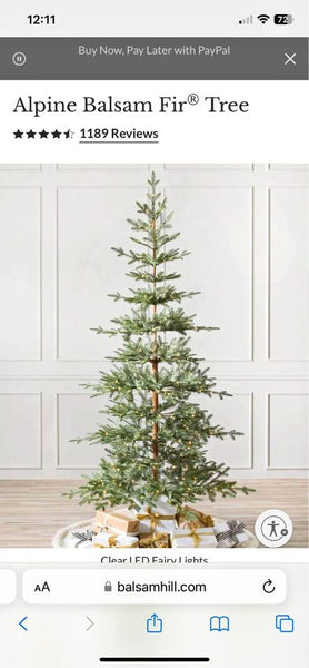 6.5 Balsam Hill Alpine Balsam Fir Christmas Tree Clear and Fairy LED lights