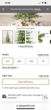 4.5 “ Alpine Balsam Fir® Tree