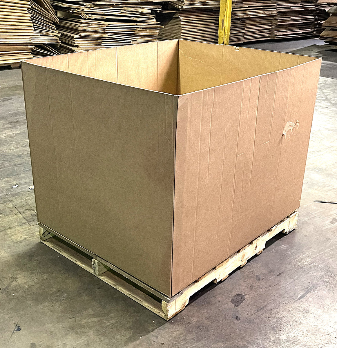 IMG_4937_1200x1200.jpg?v=