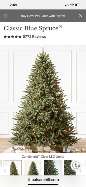 7.5” Classic Blue Spruce balsam hill Christmas Trees clear lights