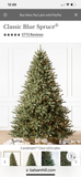 6.5” Classic Blue Spruce Balsam hill Christmas Trees