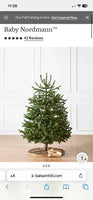 4.5’ Balsam Hill Christmas Tree Baby Nordmann with led clear fairy lights